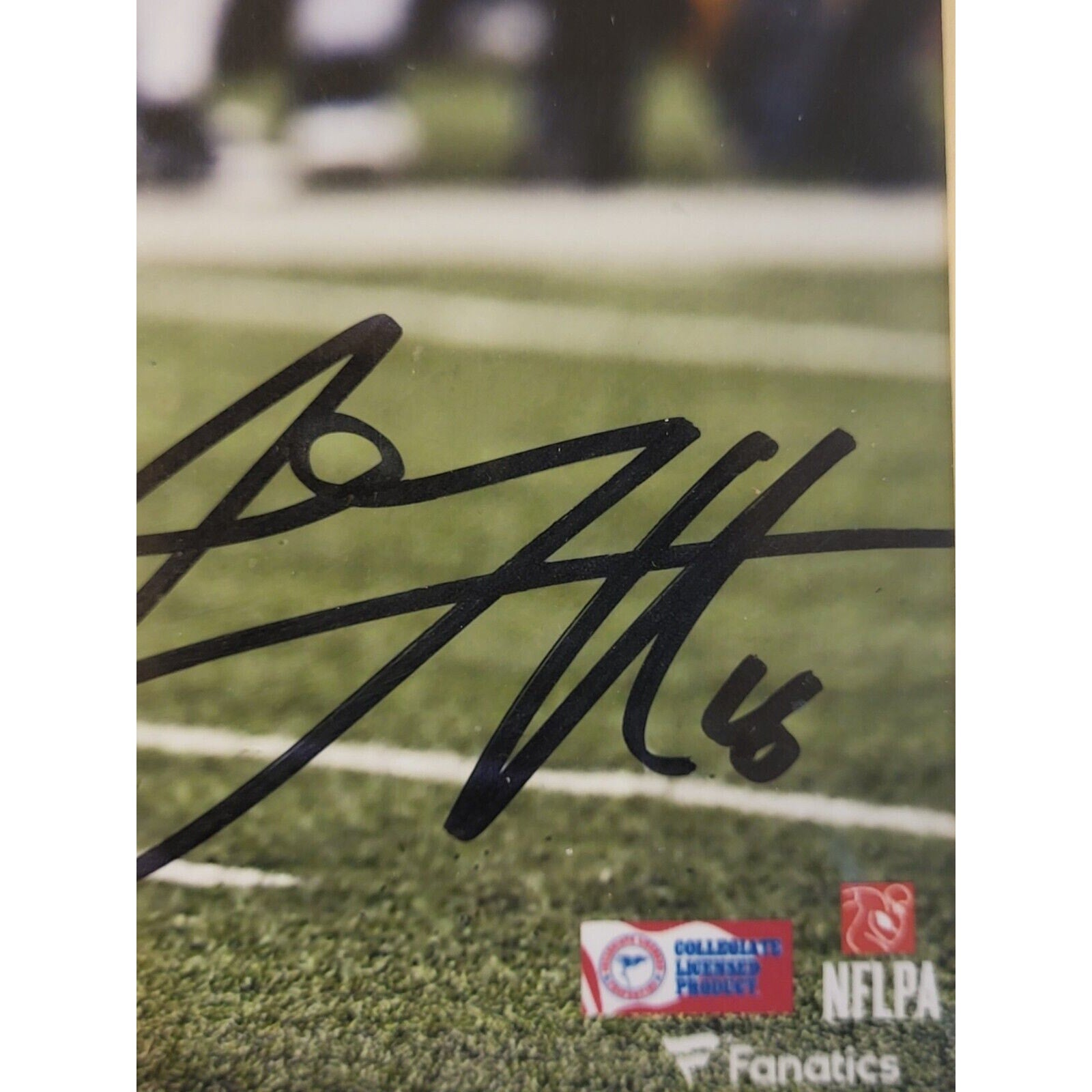 Framed Jared Goff Cal Bears Autographed 8" x 10" Blue Pass Photograph
