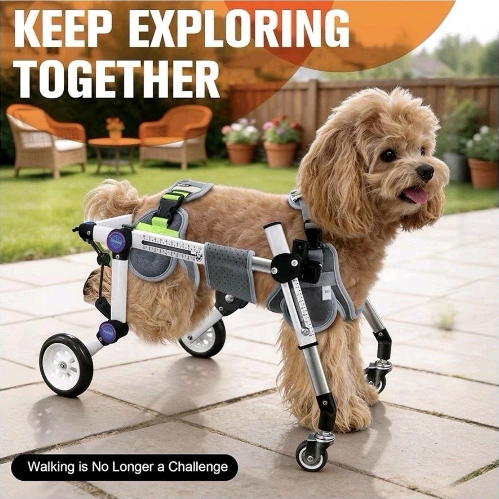 Adjustable 4-Wheel Dog Wheelchair Full Body Support Mobility Cart for Small Dogs